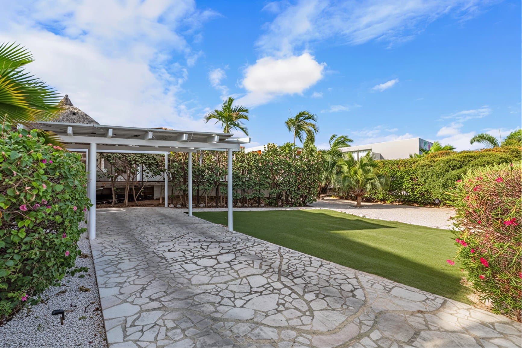 Tropical garden with lawn and palm trees